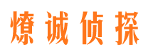 富顺市调查公司